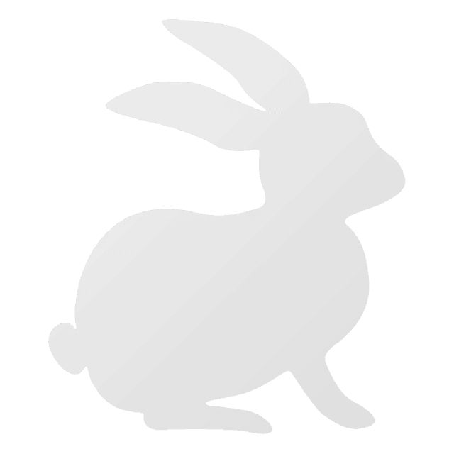 rabbit